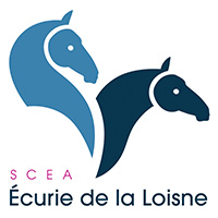 Logo SCEA
