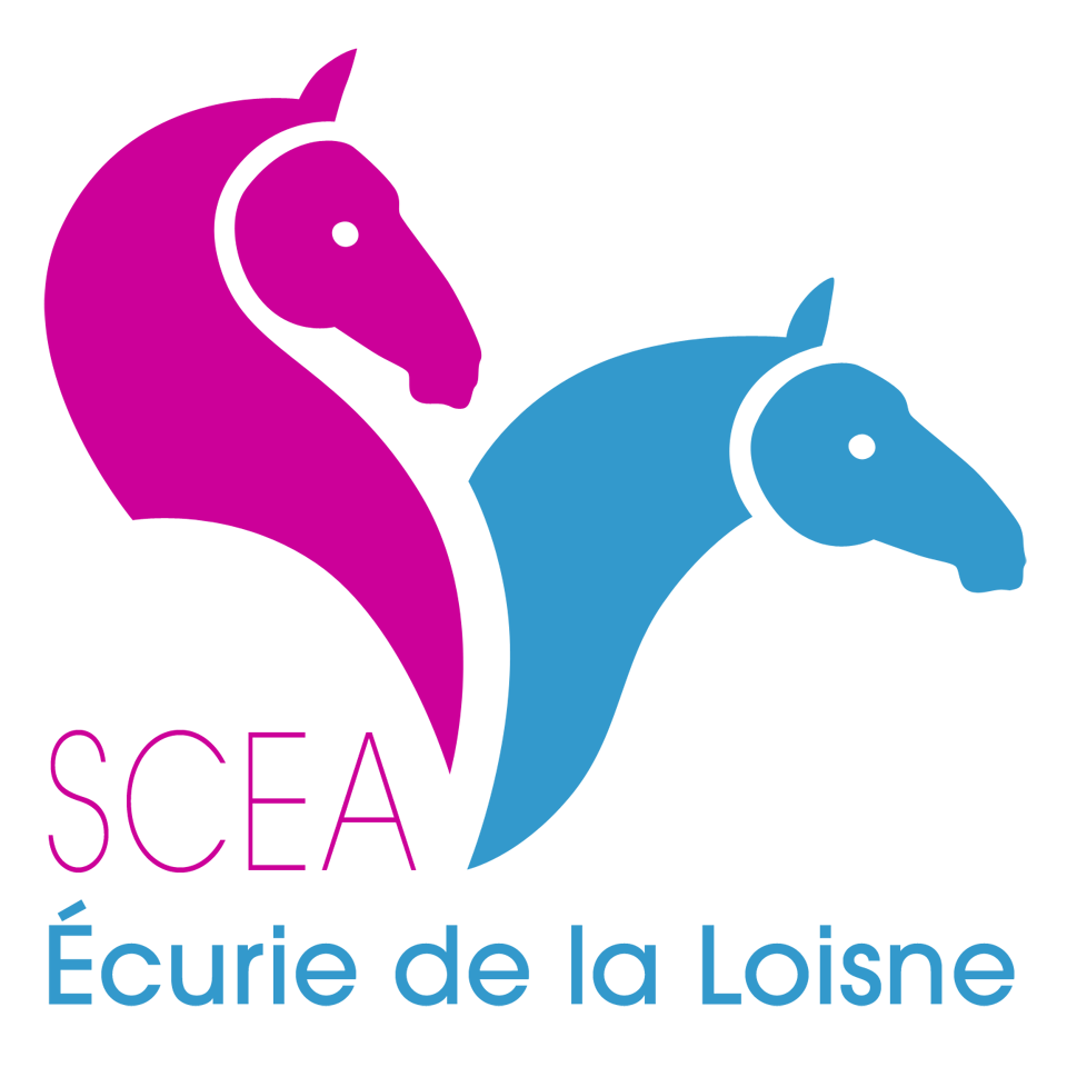 Voir