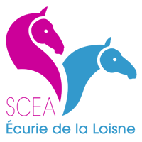 Logo SCEA